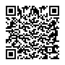 QR Code pour le numéro de téléphone +2698763028