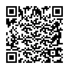 QR Code pour le numéro de téléphone +2698763041