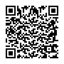 QR Code pour le numéro de téléphone +2698763044