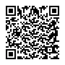 QR-code voor telefoonnummer +2698763061