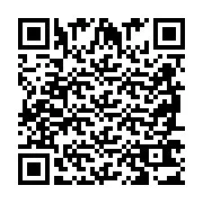 QR Code for Phone number +2698763068