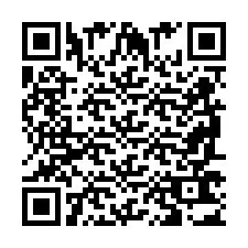 QR код за телефонен номер +2698763075