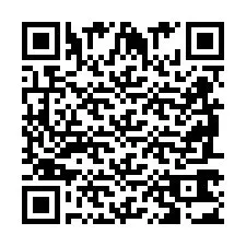 QR Code pour le numéro de téléphone +2698763084