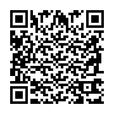 QR код за телефонен номер +2698763100