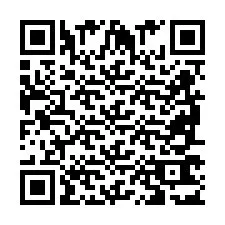 Codice QR per il numero di telefono +2698763133