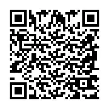 QR Code pour le numéro de téléphone +2698763138