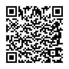 QR Code for Phone number +2698763184