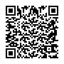 QR-код для номера телефона +2698763199