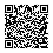 QR-Code für Telefonnummer +2698763365