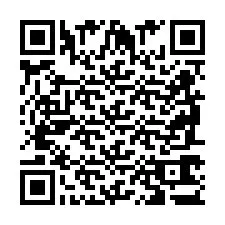 QR Code pour le numéro de téléphone +2698763384