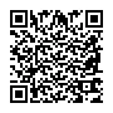 QR-Code für Telefonnummer +2698763407