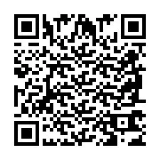 QR Code pour le numéro de téléphone +2698763408