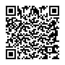 QR Code pour le numéro de téléphone +2698763418