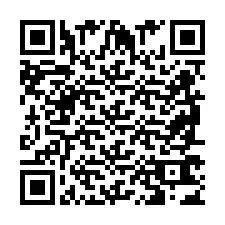 QR код за телефонен номер +2698763429