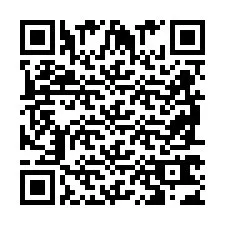 QR код за телефонен номер +2698763449