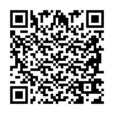 QR код за телефонен номер +2698763462