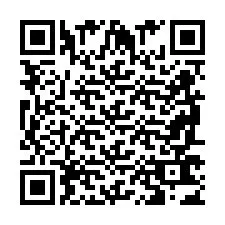 Codice QR per il numero di telefono +2698763475