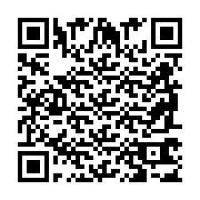 QR Code pour le numéro de téléphone +2698763501