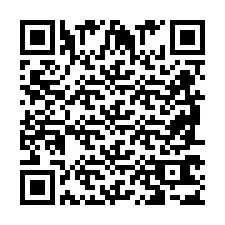 Codice QR per il numero di telefono +2698763519