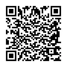 QR Code pour le numéro de téléphone +2698763533