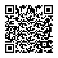 QR код за телефонен номер +2698763534