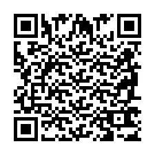 QR Code pour le numéro de téléphone +2698763560