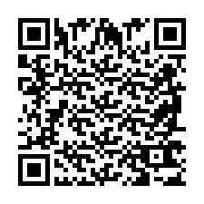 QR код за телефонен номер +2698763569