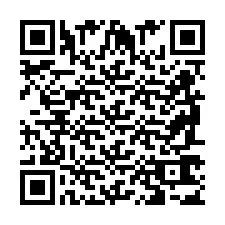 QR Code pour le numéro de téléphone +2698763591