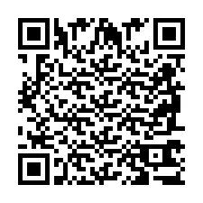 QR код за телефонен номер +2698763704