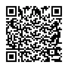 QR код за телефонен номер +2698763765