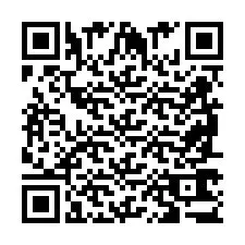 QR код за телефонен номер +2698763799