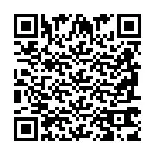 QR-Code für Telefonnummer +2698763804