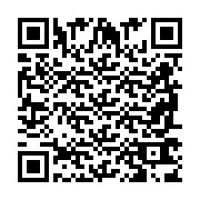 QR-Code für Telefonnummer +2698763835