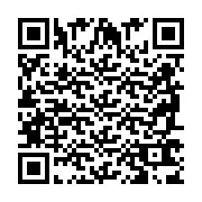 QR-Code für Telefonnummer +2698763860