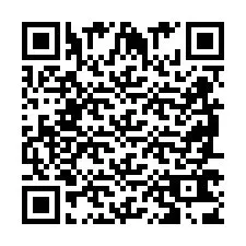 QR-Code für Telefonnummer +2698763868