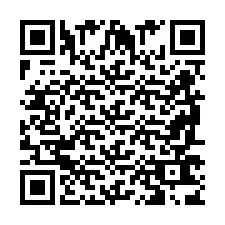 QR-Code für Telefonnummer +2698763875