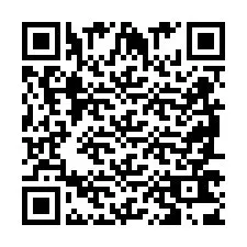 QR-код для номера телефона +2698763878