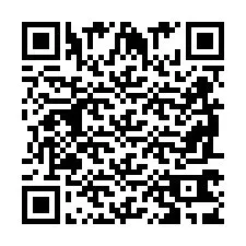 QR Code pour le numéro de téléphone +2698763905