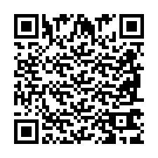 QR Code pour le numéro de téléphone +2698763906