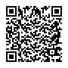 QR Code pour le numéro de téléphone +2698763959