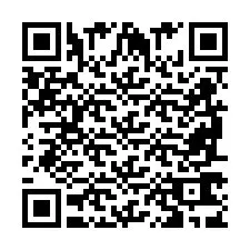 QR-Code für Telefonnummer +2698763997