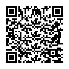 QR код за телефонен номер +2698765309