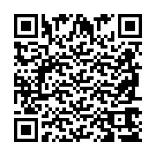 QR код за телефонен номер +2698765389