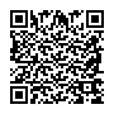 QR Code pour le numéro de téléphone +2698765639