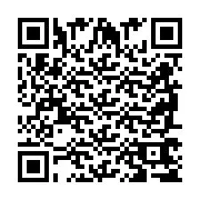 QR Code pour le numéro de téléphone +2698765724