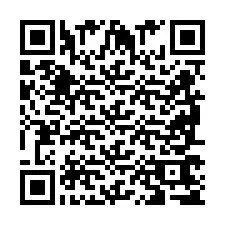 QR Code pour le numéro de téléphone +2698765736