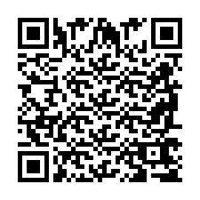 QR Code pour le numéro de téléphone +2698765765