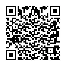 QR Code for Phone number +2698767104