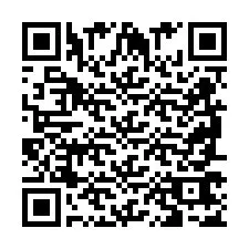 QR Code for Phone number +2698767538