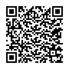 电话号码二维码 +31651375599